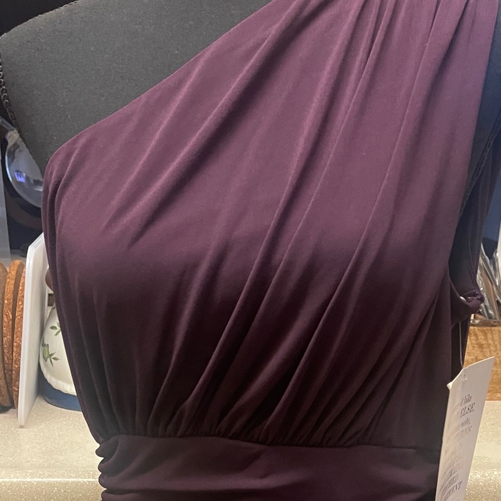 NWT Sexy Boston Proper dress size 14 plum